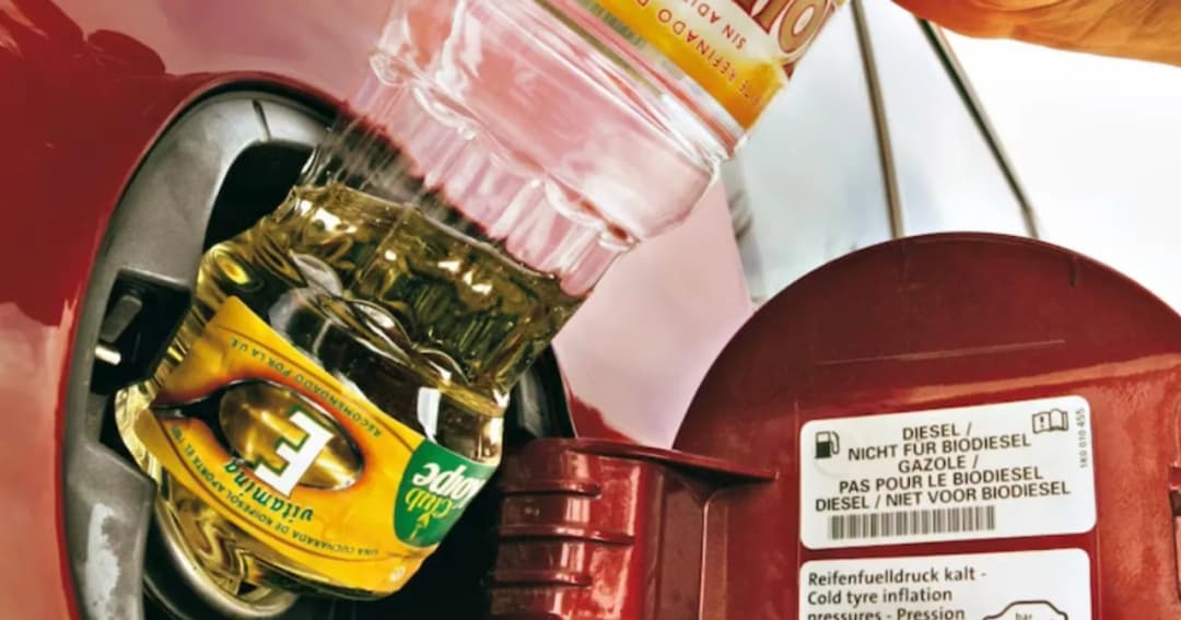 Co zrobić ze starym olejem? Oto 3 sposoby, o których nie wiedziałeś